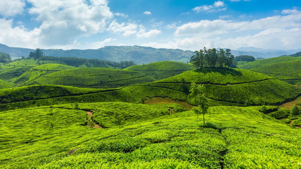 Munnar