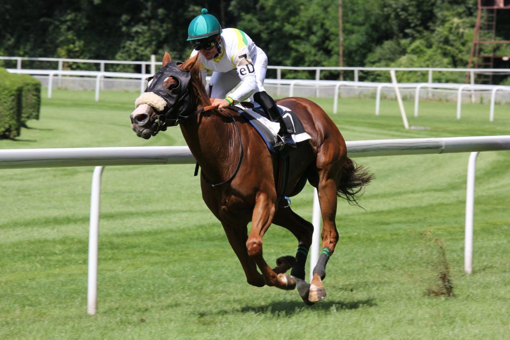 Careers In Racing