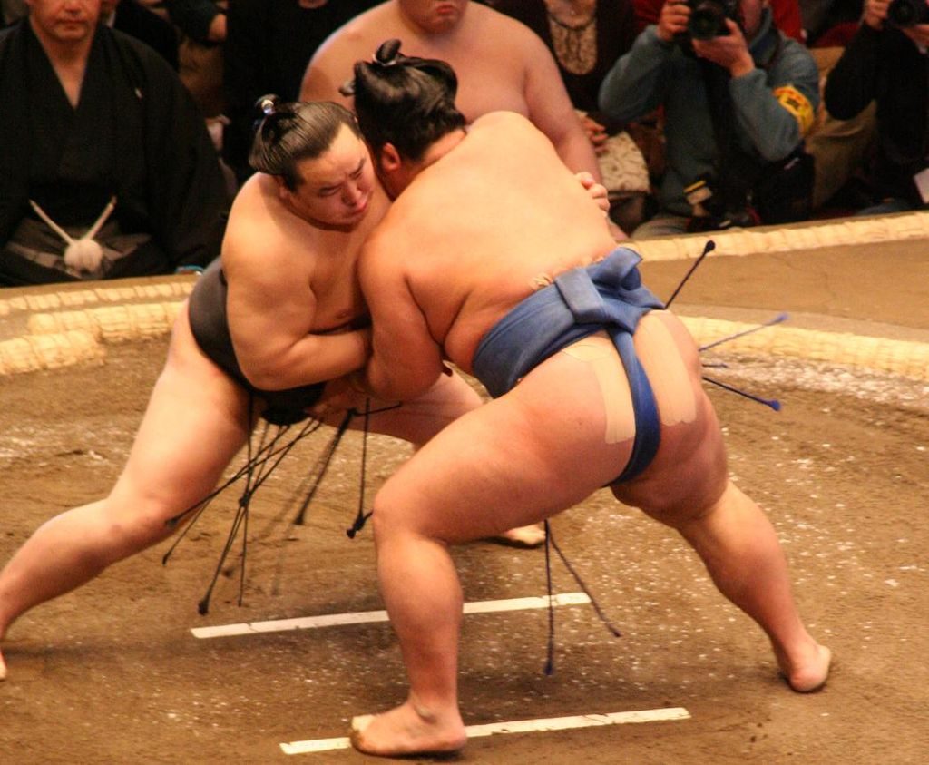 sumo wrestling match