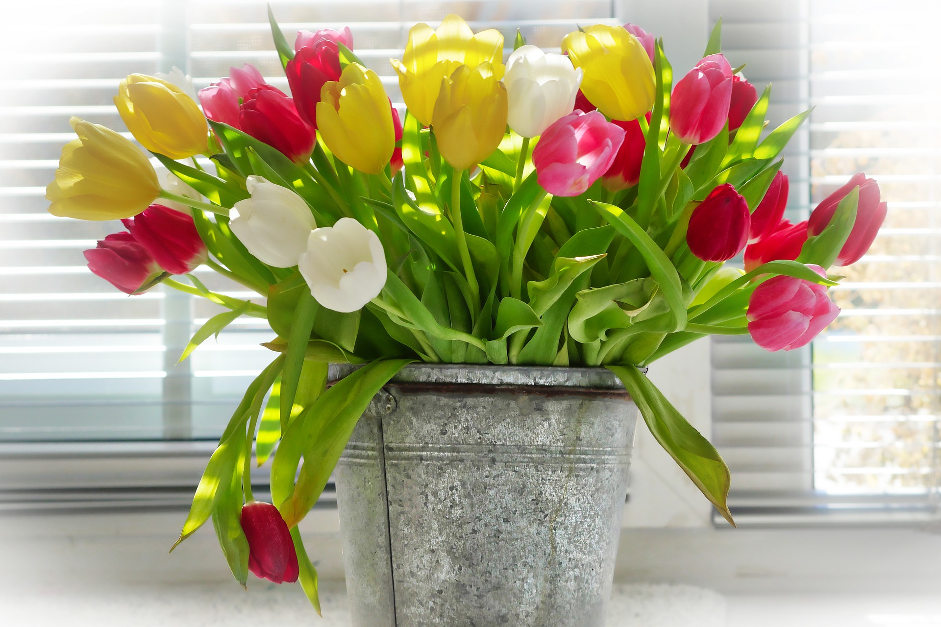 Как сохранить букет тюльпанов в вазе дольше. Букет тюльпанов. Весенний букет. Букет весенних цветов.