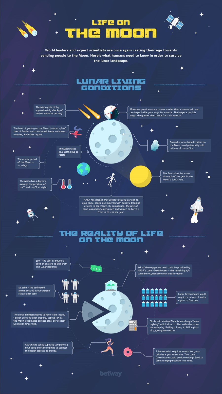 Life on the Moon Infographic