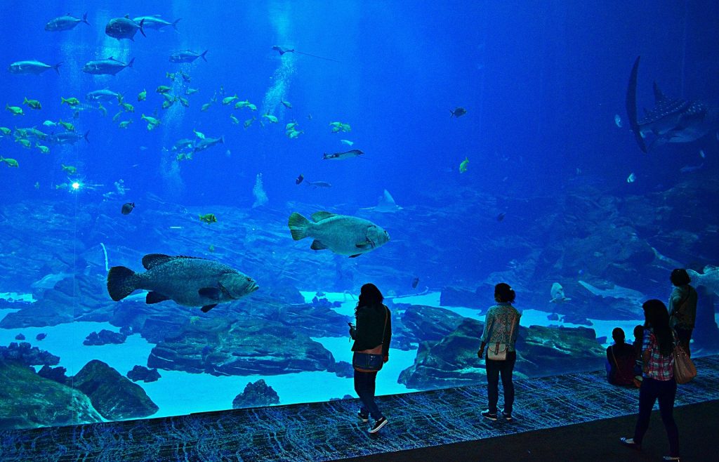 Georgia Aquarium
