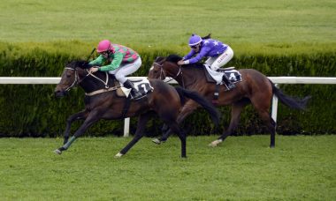 Horse racing