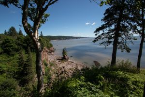 Bay of Fundy Instagram Spots