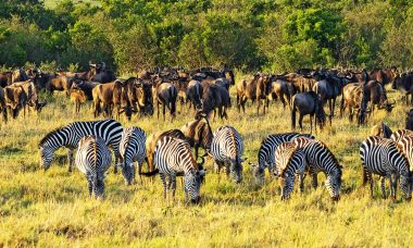 Kenya