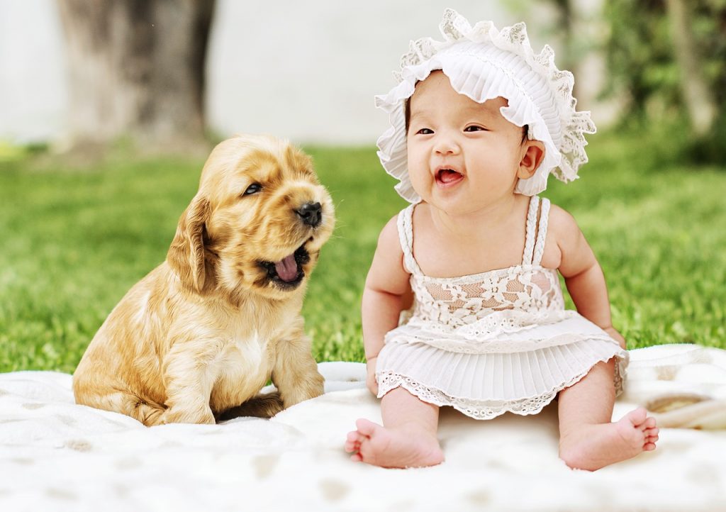 Baby with dog