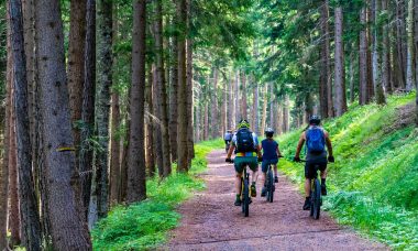 Mountain bikes