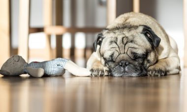 Reduce separation anxiety