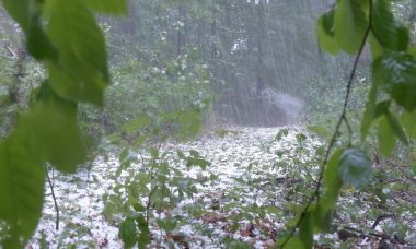 How to Fix Roof Hail Damage