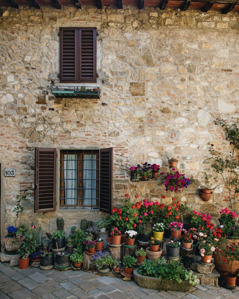 Colorful plants