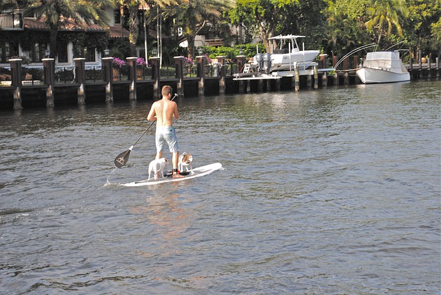 paddle board