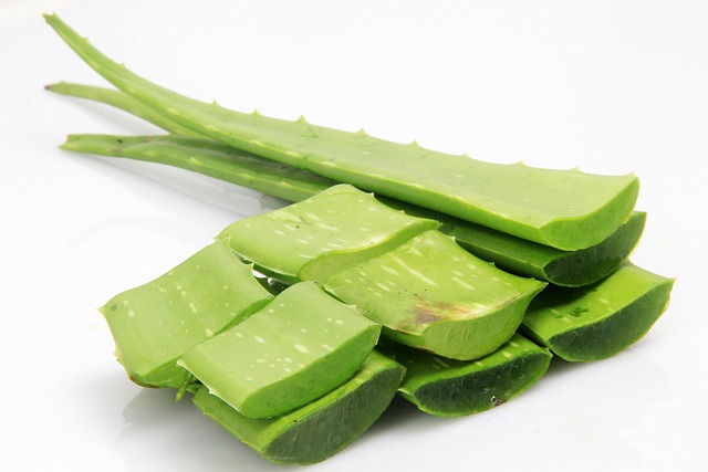 Cutting aloe vera