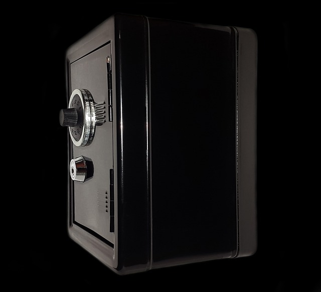 What Should You Include in a Portable Home Safe for an Emergency