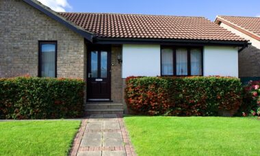 A Practical Guide to Building a Healthier Lawn in Central Florida