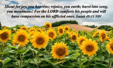 He Comforts His People