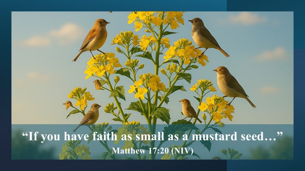 Mustard Seed Faith