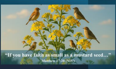 Mustard Seed Faith