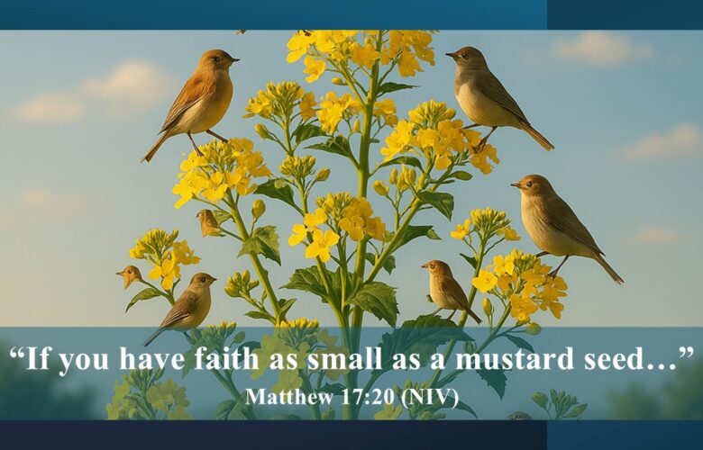 Mustard Seed Faith