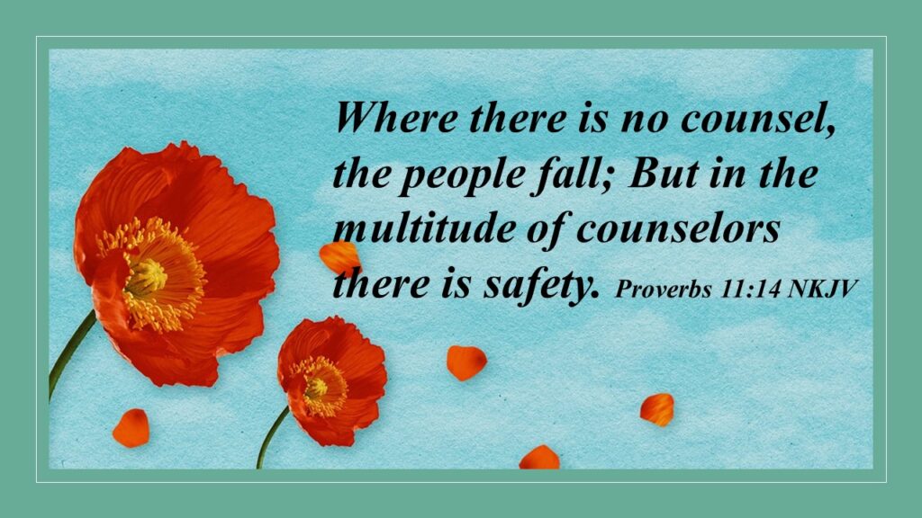 The Strength of Wise Counsel