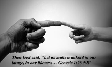 Created in His Image