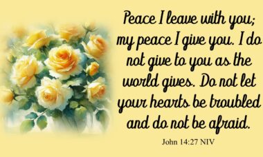 Peace that Stays