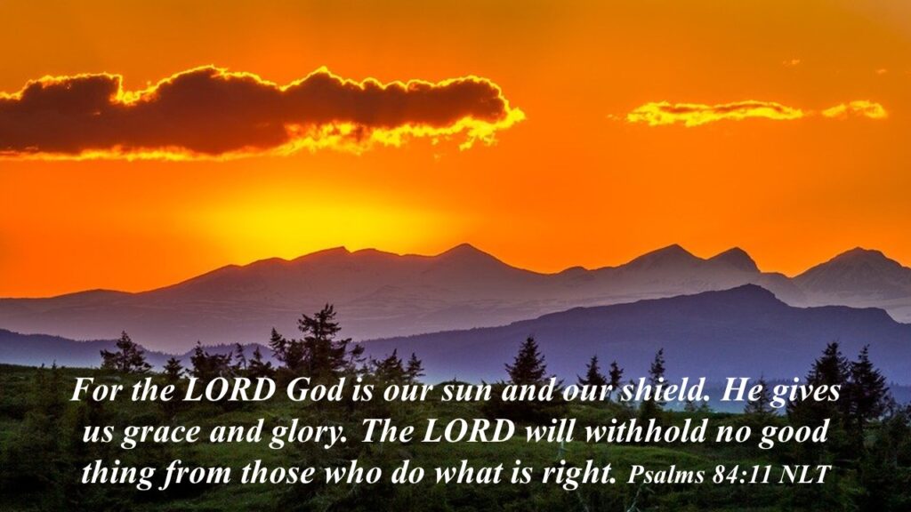 The Light That Covers and Gives