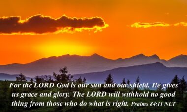 The Light That Covers and Gives