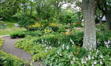 Sustainable Lawn Care and Landscaping Tips for Year-Round Curb Appeal