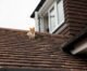 Does Missing One Shingle Mean You Need Roof Replacement?