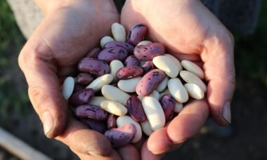 10 Amazing Health Benefits of Beans