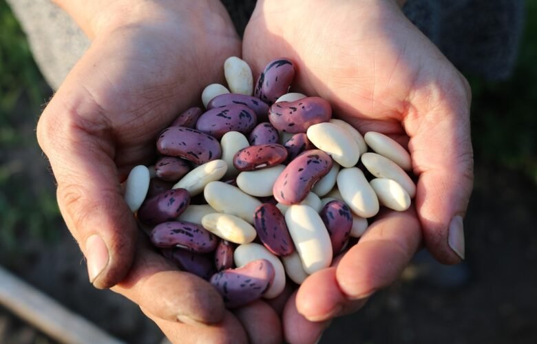 10 Amazing Health Benefits of Beans