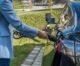 Choosing The Right Vehicle Powertrain: A Simple Guide for Real-World Driving