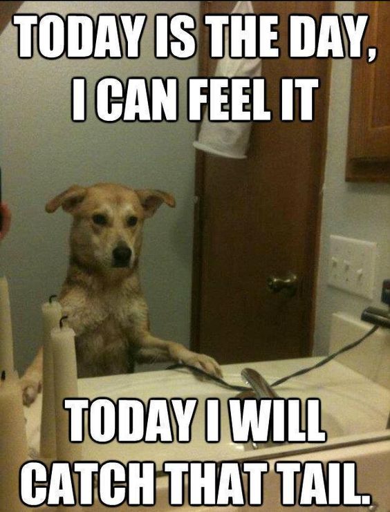 today is the day.jpg today is the day.jpg