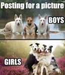 girl and boy dogss.jpg
