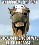 horse joke.jpg