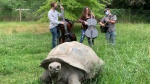 turtle music.jpg