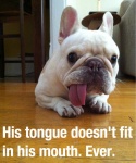 tongue doesn't fit.jpg