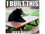 built with bear hands.jpg