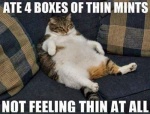 4 boxes of thin mints.jpg