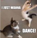 just want to dance.jpg