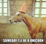 unicorn some day.jpg