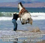 touch my foot.jpg