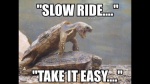 slow ride.jpg