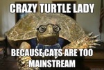 crazy turtle lady.jpg