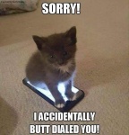 cat on phone.jpg